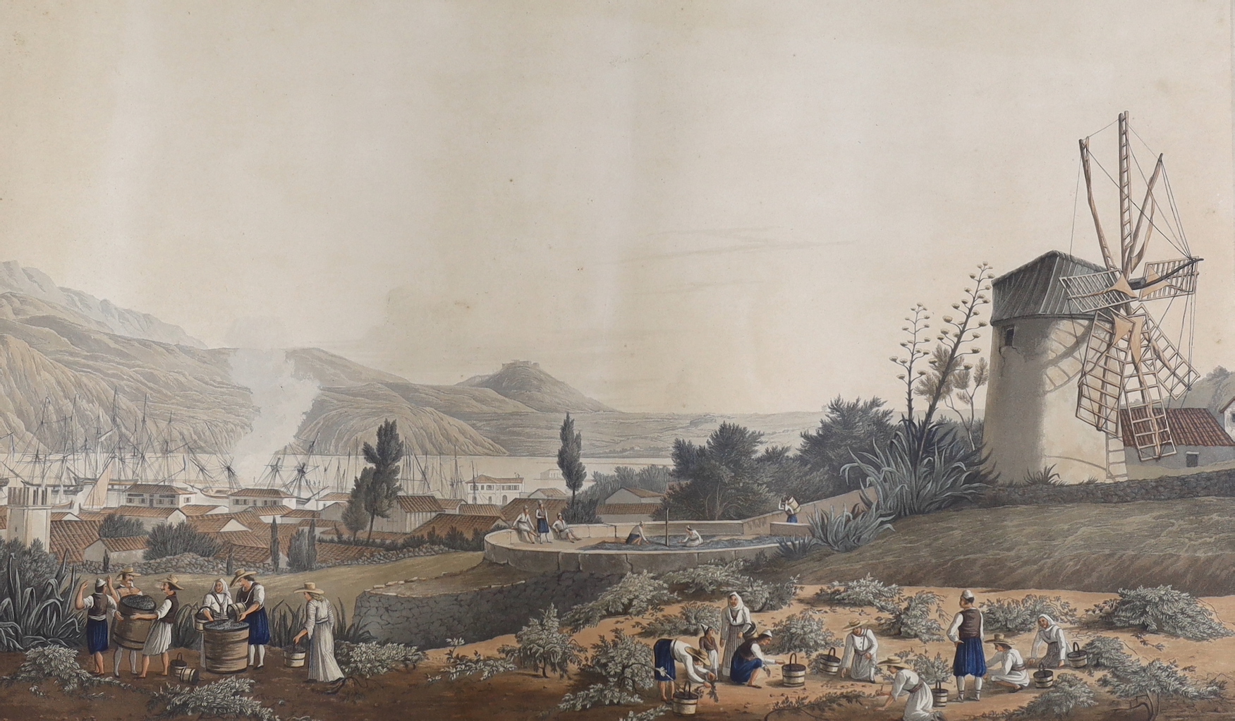 Havell after Cartwright (1789-1929), hand coloured aquatint, Town and harbour of Argostoli, (Cephallonia), from Views of the Ionian Islands, 1821, 38 x 60cm